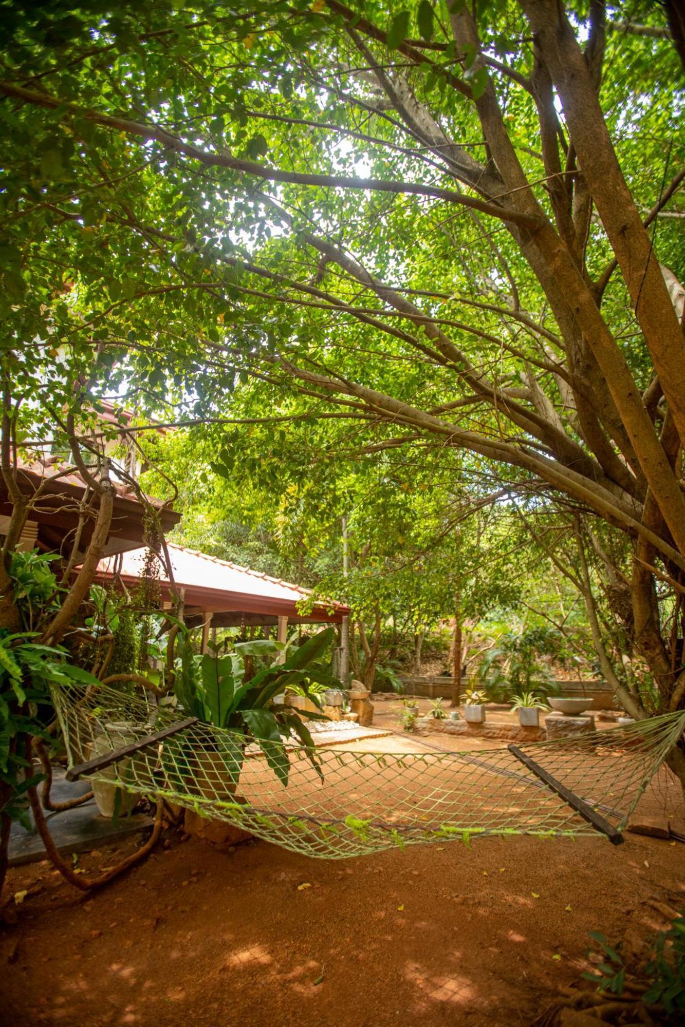 Evergreen Hotel Dambulla Exterior foto