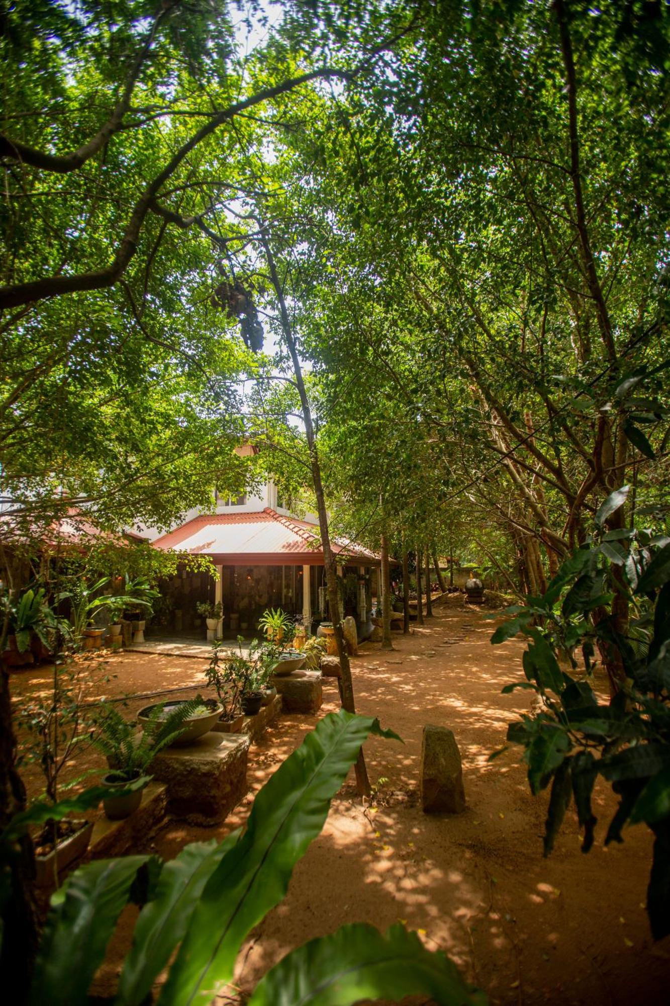 Evergreen Hotel Dambulla Exterior foto